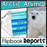Arctic Animals Research | Winter Reading Comprehension