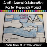 Arctic Animals Research Project | Collaborative Poster