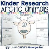 Arctic Animals Research Project Kindergarten Research Inve