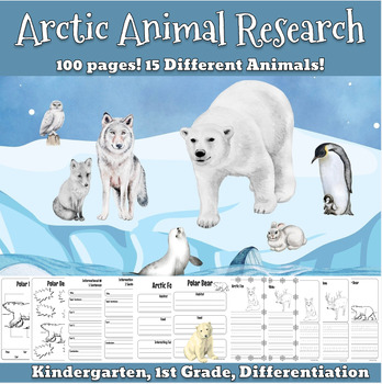 Preview of Arctic Polar Animals Research project Kindergarten 1st grade. Writing, templates