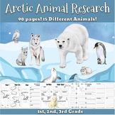 Arctic Polar Animals Research project 1st, 2nd, 3rd grade.