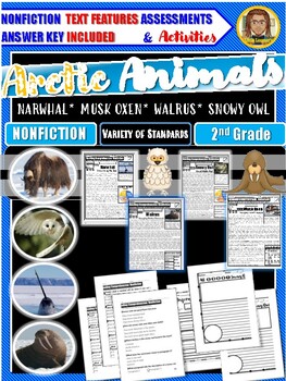 Preview of Arctic Animals | Text Features Assessments | Reading Comprehension | Winter