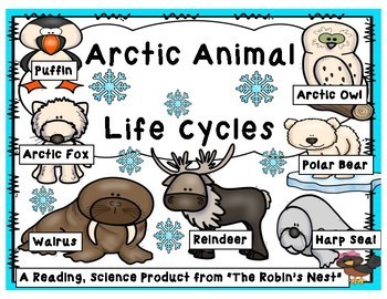 Preview of Arctic Animals & Their Life Cycles:  Vocabulary, Close Reading, & Comprehension!
