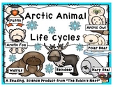 Arctic Animals & Their Life Cycles:  Vocabulary, Close Rea