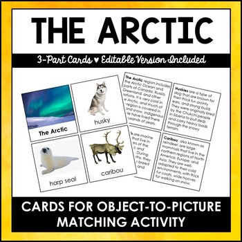 Preview of Arctic Animals - Safari Toob 3 Part Information Cards - Editable