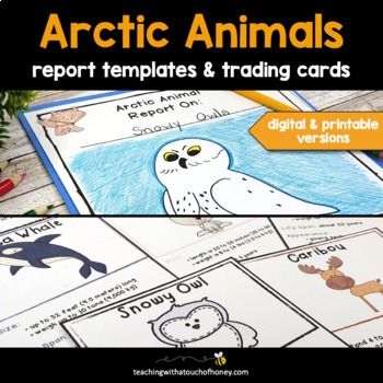 Preview of Arctic Animals - Trading Cards and Report Writing Templates BUNDLE