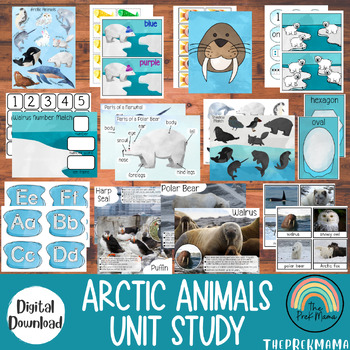 Preview of Arctic Animals Unit Study