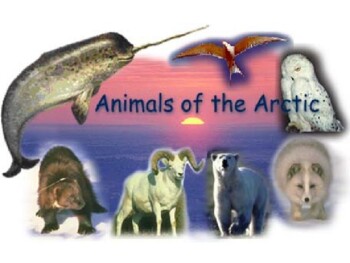 Preview of Arctic Animals WORD BOOK
