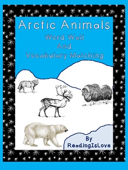 Preview of Arctic Animals Word Wall and Vocabulary Matching