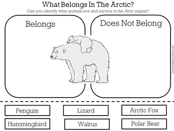 arctic animals worksheet arctic animals activity