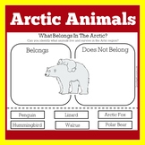 Polar Arctic Animals | Worksheet Activity Kindergarten 1st