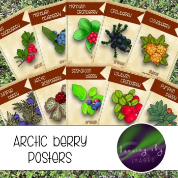 Preview of Arctic Berry Posters