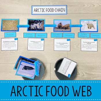 Arctic Biome Food Web and Food Chains Learning Pack by Pinay ...