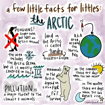 Preview of Arctic Facts Printable