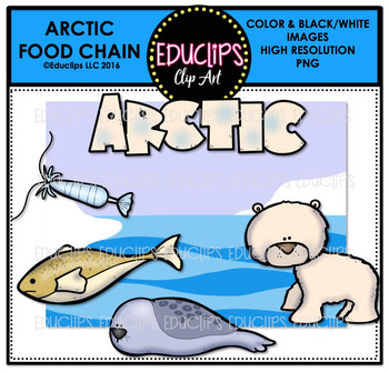 Preview of Arctic Food Chain Clip Art Mini Bundle {Educlips Clipart}