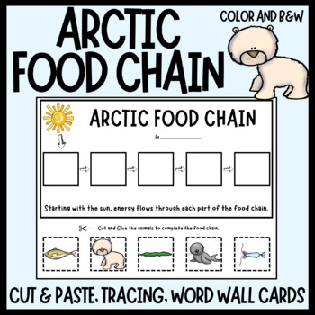 Preview of Arctic Food Chains - Activity and Word Wall Cards - Animal Food Chain