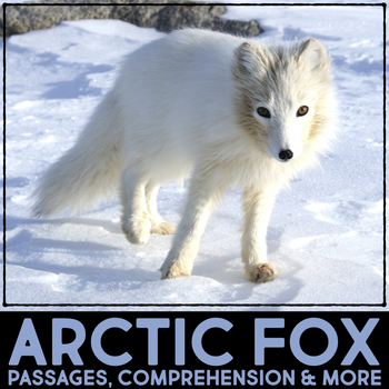Preview of Arctic Fox Animal Research Nonfiction Reading Passage & Comprehension Activities
