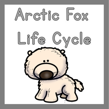 Arctic Fox Life Cycle by The Organized Preschool Teacher | TpT