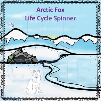 Arctic Fox (Life Cycle Spinner) by Donna Thompson | TpT