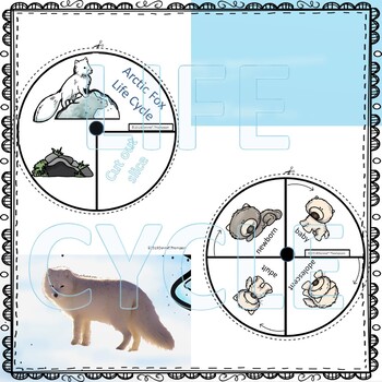 Arctic Fox (Life Cycle Spinner) by Donna Thompson | TpT