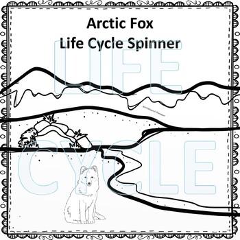 Arctic Fox (Life Cycle Spinner) by Donna Thompson | TpT