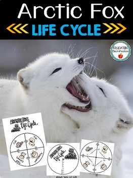 Arctic Fox Life Cycle Wheel and Poster Set by Sarah Tighe | TpT