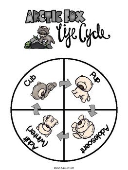 Arctic Fox Life Cycle Wheel and Poster Set by Sarah Tighe | TPT