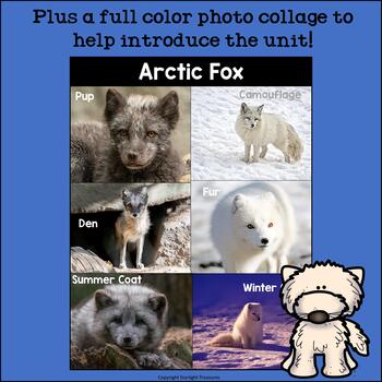 Arctic Fox Mini Book for Early Readers by Starlight Treasures | TpT