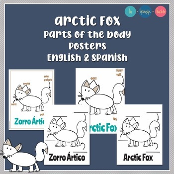 Arctic Fox Parts of the Body - Partes del Cuerpo del Zorro Ártico