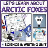 Arctic Fox Lesson Plans For Arctic Animals First Grade 2nd