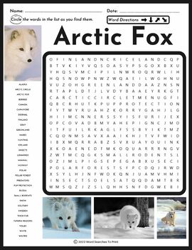 Word Search Puzzle Arctic Animals Stock Vector - Illustration of