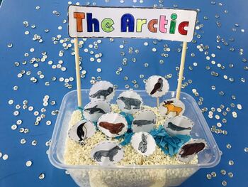Preview of Arctic Habitat - Animal Craft Project