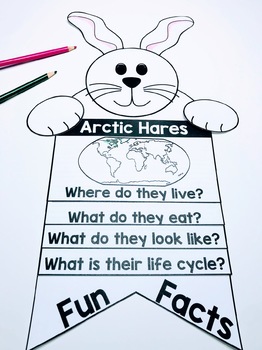 Arctic Hare Craft By Grade School Giggles Teachers Pay Teachers