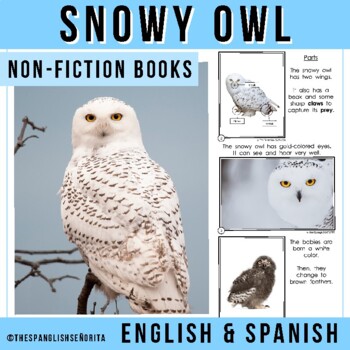 THE SNOWY OWL - Arctic Non-Fiction Readers (Spanish & English) | TPT