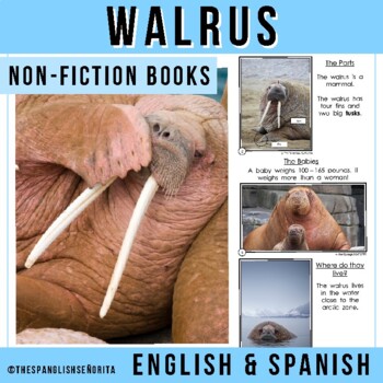 La Migración de la Morsa (Walrus Migration) (Spanish Version) (Library  Binding)