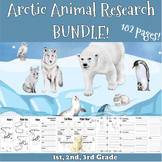 Arctic Polar Animals Research project BUNDLE for 1st, 2nd,