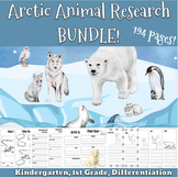 Arctic Polar Animals Research project BUNDLE for Kindergar