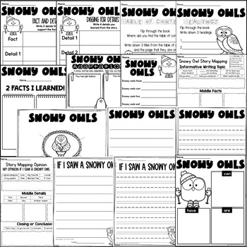 contoh report text snowy owl