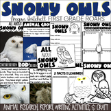 Arctic Snowy Owl Nonfiction Informational Text Reading Wri