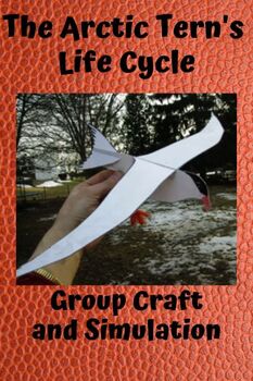Preview of Arctic Tern: Life and Migration