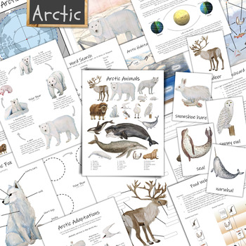 Preview of Arctic Unit: ecology of the far north unit study!