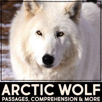 Preview of Arctic Wolf Animal Research Nonfiction Reading Passage Comprehension Activities