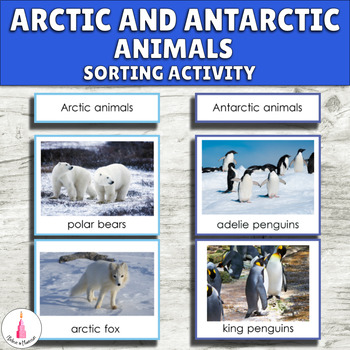 Preview of Arctic and Antarctic Polar Animals Montessori Activity - Antarctica Continent