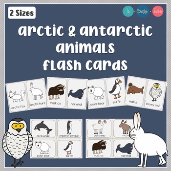 Arctic Animals Flash Cards Preschool Picture and Word Flash Cards for children 