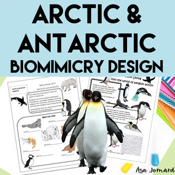 Preview of Arctic & Antarctic Activities|  Biomimicry Design Project | Nonfiction