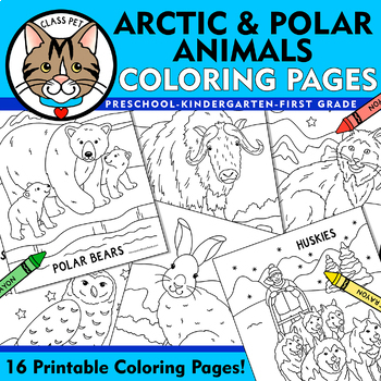Preview of Arctic and Polar Animals Coloring Pages, Winter Animals Coloring Sheets