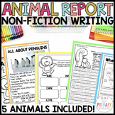 Arctic animal reports and research | Nonfiction Writing | 