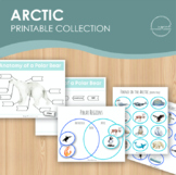 Arctic printable collection, Montessori winter activity, A