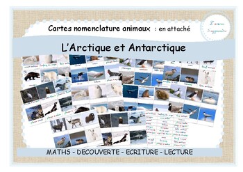 Preview of Arctique - cartes nomenclature en attaché