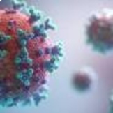 Are Viruses Living or Nonliving?  (Worksheet)